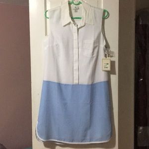 Altuzarra for Target blue/ white shirt dress TAGS